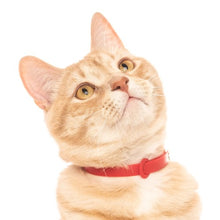 Load image into Gallery viewer, Nuvuq Collier ajustable avec attache de sécurité pour chat, Rouge tomate
