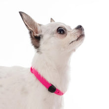 Load image into Gallery viewer, Nuvuq Collier ajustable pour mini chien, Rose frambroise