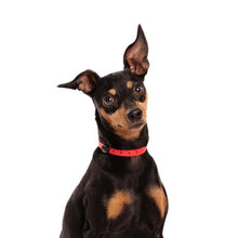 Load image into Gallery viewer, Nuvuq Collier ajustable pour mini chien, Rouge tomate
