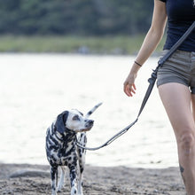 Load image into Gallery viewer, Nuvuq Laisse multifonctionnelle pour chien, Poivre noir