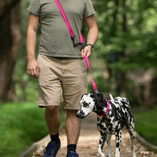 Load image into Gallery viewer, Nuvuq Laisse multifonctionnelle pour chien, Rose framboise
