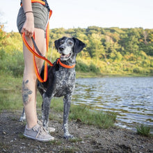 Load image into Gallery viewer, Nuvuq Laisse multifonctionnelle pour chien, Orange tangerine