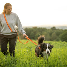 Load image into Gallery viewer, Nuvuq Laisse multifonctionnelle pour chien, Orange tangerine