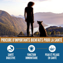 Load image into Gallery viewer, ORIJEN Chien Amazing Grains Originale