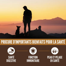 Load image into Gallery viewer, ORIJEN Chien Amazing Grains Red Regional