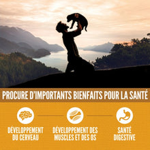 Load image into Gallery viewer, ORIJEN Chiot Amazing Grains