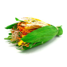 Load image into Gallery viewer, Oxbow Enriched Life - Gâterie à mâcher pour rongeur - Bouquet de célébration