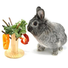 Load image into Gallery viewer, Oxbow Enriched Life - Jeu interactif pour rongeur - Arbre de branchettes de pommier