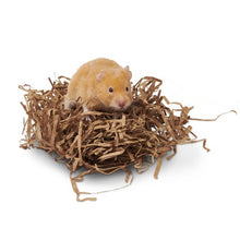 Load image into Gallery viewer, Oxbow Enriched Life - Jeu interactif pour rongeur - Disques sui s'imbriquent