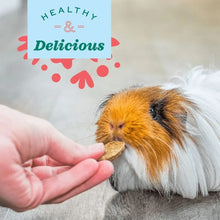 Load image into Gallery viewer, Oxbow Natural Science - Suppléments pour rongeur - Articulations