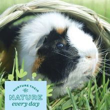 Load image into Gallery viewer, Oxbow Timothy Club - Abri de foin Timothy