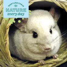 Load image into Gallery viewer, Oxbow Timothy Club - Abri de foin Timothy