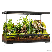 Load image into Gallery viewer, Exo Terra Glass Terrarium, Small, Large, L. 45 x D. 45 x H. 45 cm (W. 18 x D. 18 x H. 18 in)