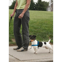 Load image into Gallery viewer, PetSafe Harnais pour chien deluxe "Easy Walk" - Bleu
