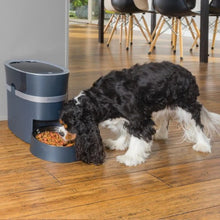 Load image into Gallery viewer, Petsafe Distributeur de nourriture automatique Smart Feed - Jusqu'à 24 tasses