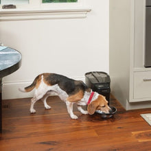 Load image into Gallery viewer, Petsafe "Healthy Pet Simply Feed" Distributeur de nourriture automatique