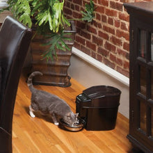 Load image into Gallery viewer, Petsafe "Healthy Pet Simply Feed" Distributeur de nourriture automatique