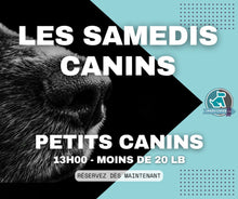 Load image into Gallery viewer, SAMEDIS CANINS - Rencontres canines au Parc à Chien intérieur LJDA