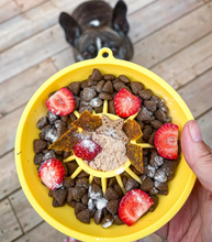 Load image into Gallery viewer, Dog's Crush -Bol ralentisseur pour chien - Citron