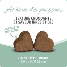 Load image into Gallery viewer, Suppléments Nutrience Care pour chats - Boules de poils+ 180 g