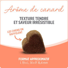 Load image into Gallery viewer, Suppléments Nutrience Care pour chiens - Probiotique+ - 100 bouchées tendres 400 gr