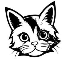 Load image into Gallery viewer, Tasse en céramique-Thème animaux-Chat noir et blanc