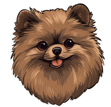 Load image into Gallery viewer, Tasse en céramique-Thème animaux-Poméranien