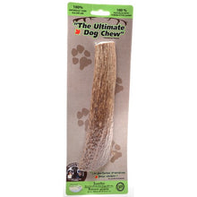 Load image into Gallery viewer, Ramure à mastiquer Urban Dog pour chiens