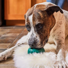 Load image into Gallery viewer, Woof Pet Jouet pour chiens Pupsicle Power Chewer - Noir