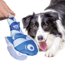 Load image into Gallery viewer, Zeus Jouet Wacky , Poisson