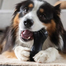 Load image into Gallery viewer, Zeus jouet Chewchasers en caoutchouc pour gâterie - Arachide - Noir