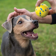 Load image into Gallery viewer, Zeus jouet Nitro - Balle lestée