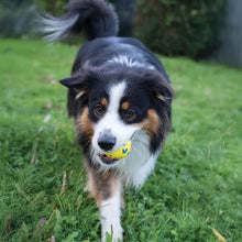 Load image into Gallery viewer, Zeus jouet Nitro - Balle lestée