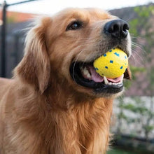 Load image into Gallery viewer, Zeus jouet Nitro - Balle lestée