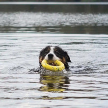 Load image into Gallery viewer, Zeus jouet Nitro - Anneau