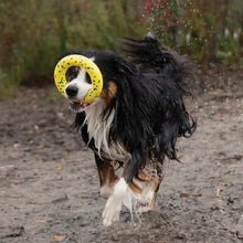 Load image into Gallery viewer, Zeus jouet Nitro - Anneau