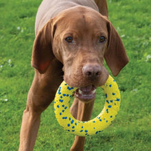 Load image into Gallery viewer, Zeus jouet Nitro - Anneau