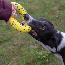 Load image into Gallery viewer, Zeus jouet Nitro - Anneau