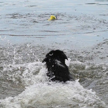 Load image into Gallery viewer, Zeus jouet Nitro - Bouée lestée avec corde