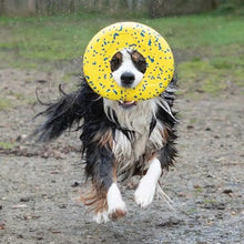 Load image into Gallery viewer, Zeus jouet Nitro - Disque volant