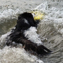 Load image into Gallery viewer, Zeus jouet Nitro - Disque volant