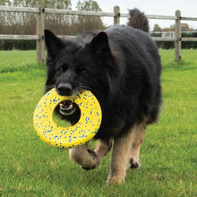 Load image into Gallery viewer, Zeus jouet Nitro - Disque volant