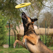 Load image into Gallery viewer, Zeus jouet Nitro - Disque volant