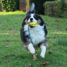 Load image into Gallery viewer, Zeus jouet Nitro - Fronde lestée avec corde