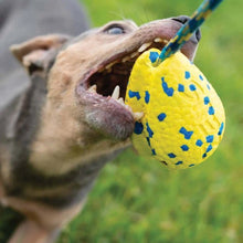 Load image into Gallery viewer, Zeus jouet Nitro - Fronde lestée avec corde