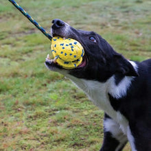 Load image into Gallery viewer, Zeus jouet Nitro - Fronde lestée avec corde