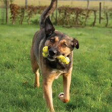 Load image into Gallery viewer, Zeus jouet Nitro - Os flexible