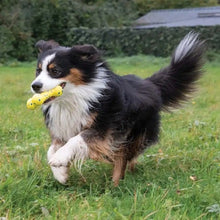 Load image into Gallery viewer, Zeus jouet Nitro - Os flexible