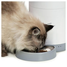 Load image into Gallery viewer, Catit PIXI Distributeur intelligent avec appli de contrôle à distance - Boutique Le Jardin Des Animaux -AbreuvoirBoutique Le Jardin Des Animaux43752