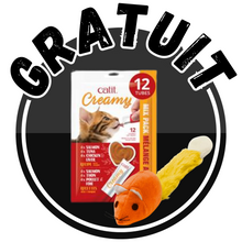 Load image into Gallery viewer, Catit abreuvoir avec fleur 3 Litres avec napperon et bol interactif + CADEAUX